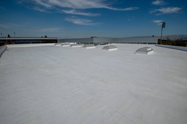 Best Metal Roofing Installation  in Grove City, FL