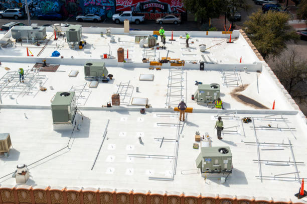 Best Asphalt Shingles Roofing  in Grove City, FL