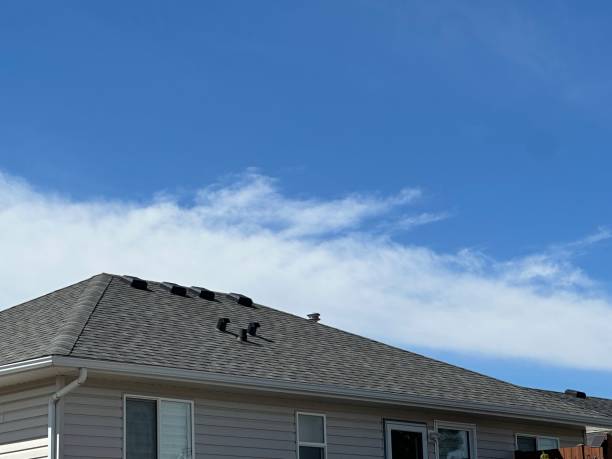 Best Roof Insulation Installation  in Grove City, FL